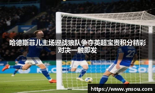 哈德斯菲儿主场迎战狼队争夺英超宝贵积分精彩对决一触即发