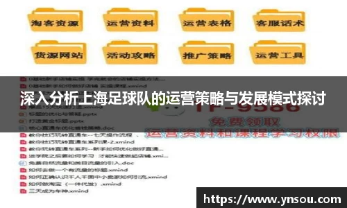 深入分析上海足球队的运营策略与发展模式探讨