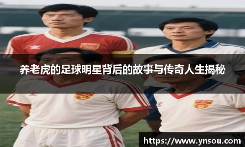 养老虎的足球明星背后的故事与传奇人生揭秘